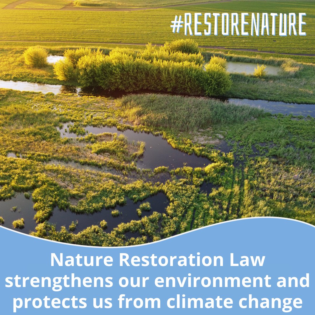 Today's #EarthDay reminds us that our battle for the Nature Restoration Law continues ✌️ Europe is the fastest-warming continent and needs solutions to protect its citizens, economy & environment. The law to #RestoreNature is the solution Europe needs! @EUCouncil @EU2024BE