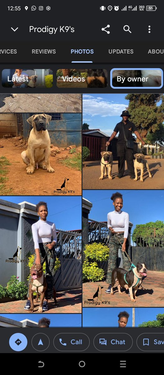 We Breed canines for security, family & breeding purposes. We only deal with pure breeds only & we also offer Stud,Dog walking, Dog Boarding,Puppy swap deals. For more information inbox or app/call on 0776950851