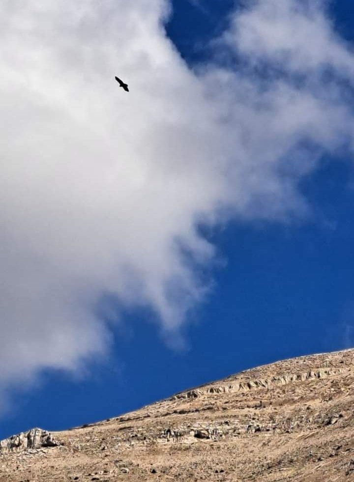 الوقوف على قدميك 
يمنحك مساحة صغيرة 
في العالم ،
لكن الوقوف على مبادئك 
يمنحك العالم كله.
#حقيقه_لايمكن_انكارها