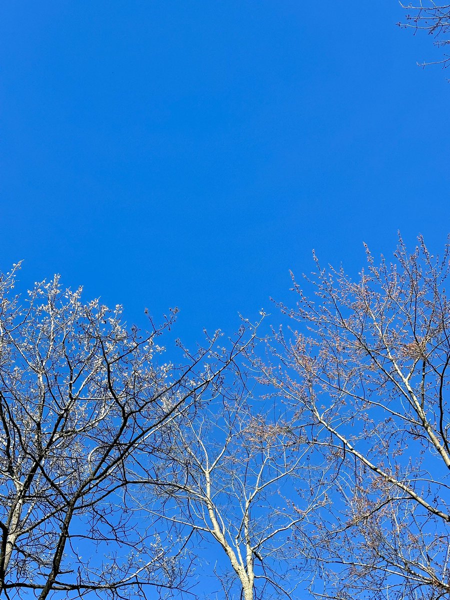 Share a photo highlighting Blue for Monday morning Blues. 

#BlueMonday 
#KrrishClick