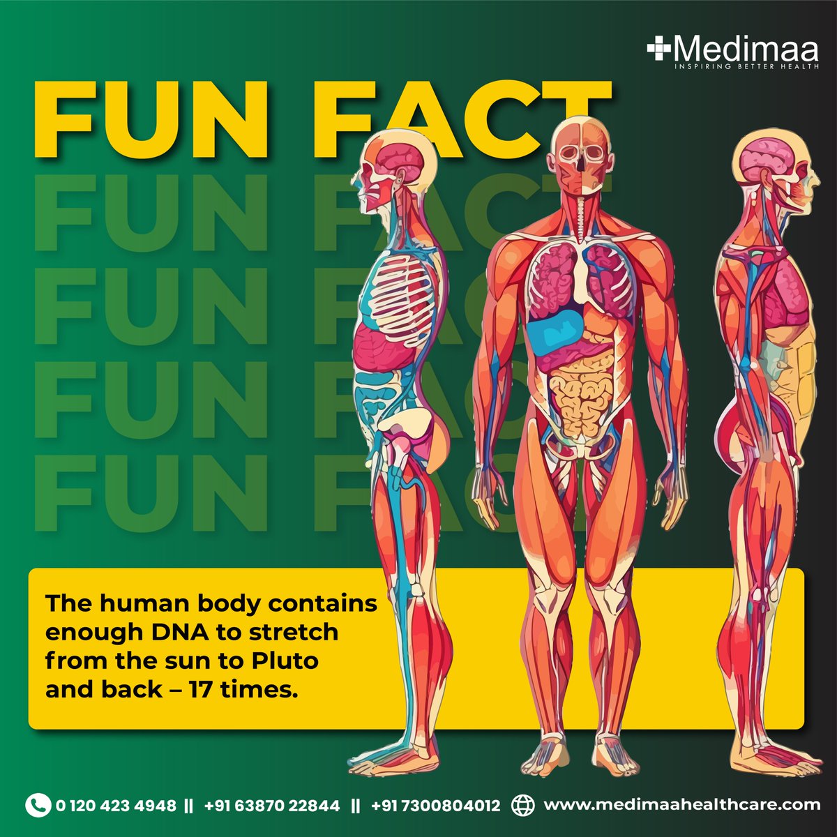 Who knew our bodies were this entertaining? Brace yourself for a giggle-inducing tour through the quirks and curiosities of the human form. 
#BodyBloopers #LaughterIsTheBestMedicine #DiagnosticLabs #Noida #medimaa #HealthLab #cervical #WellnessAnalysis #HealthierFuture