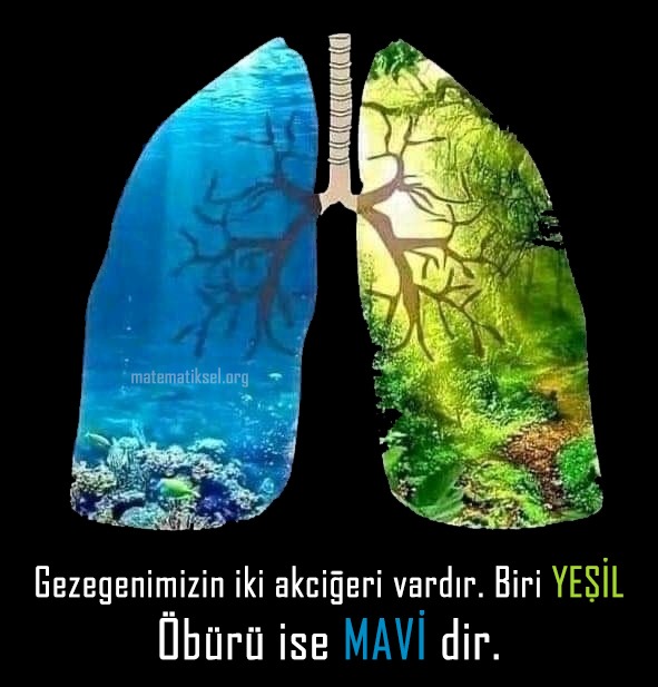 Bugün senede bir gün anımsadığımız Dünya Günü.

Dünyanın 2 akciğeri vardır ve her ikisini de kaybediyoruz. Bunu önlemek için ne yapmamız gerektiğini de aslında biliyoruz. 

#dünyagünü #earthday