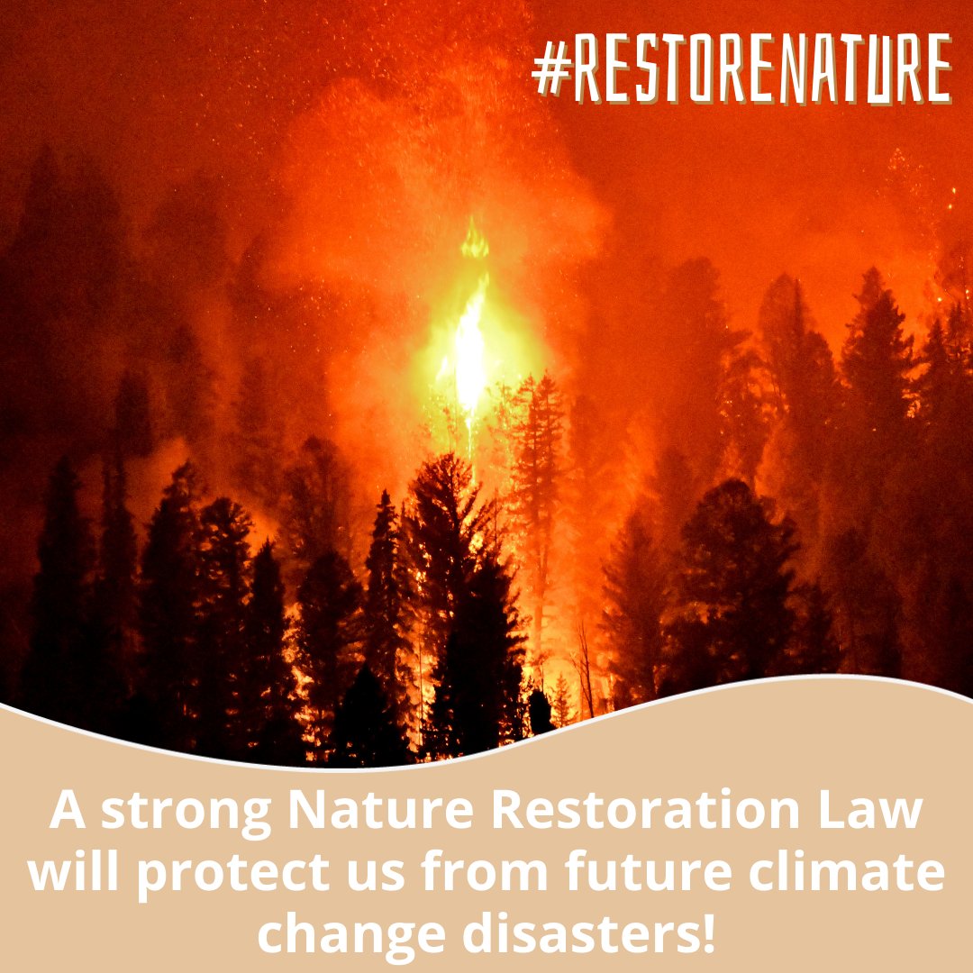 A kind reminder for today's #EarthDay 👇 Nature is our best insurance against floods, droughts, wildfires & heatwaves 💧 The upcoming #RestoreNature Law will strengthen our rivers, forests or marine habitats to protect us from climate change 🔥 @EU2024BE seal the deal!