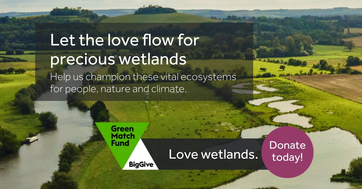 DYK 40% of the 🌍's plants & animals depend on wetlands, yet these critical habitats are disappearing fast. Our wetland creation projects are transforming the local landscape, biodiversity & carbon store benefits. On #EarthDay, please help if you can 💙 earthtrust.org.uk/appeal