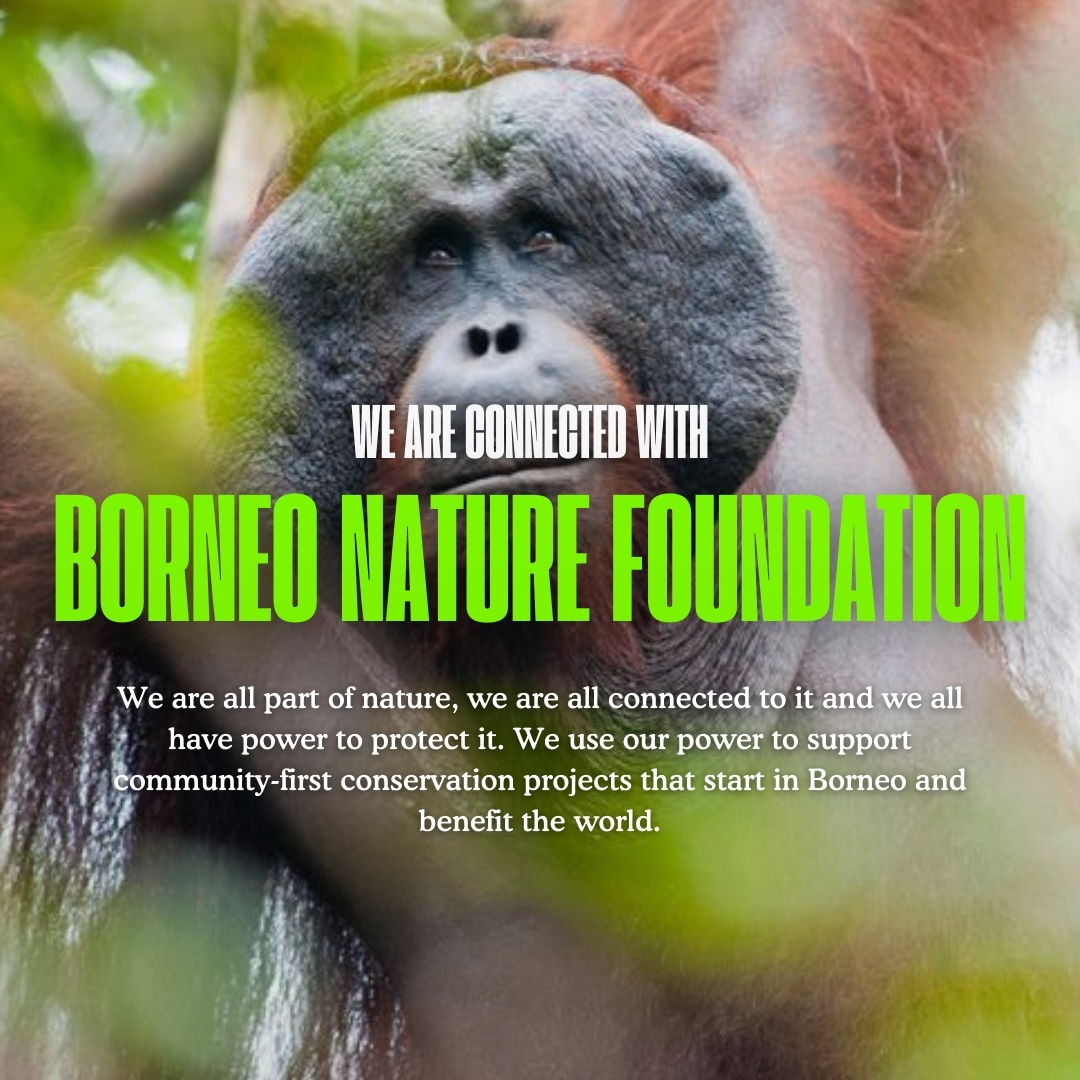 #EarthDay

We are proud to support  <a href="/BorneoNature/">BorneoNatureFdn</a>, a leading science-based conservation organisation working with communities to research and protect forests, orangutans and other wildlife.

#EarthDay2024