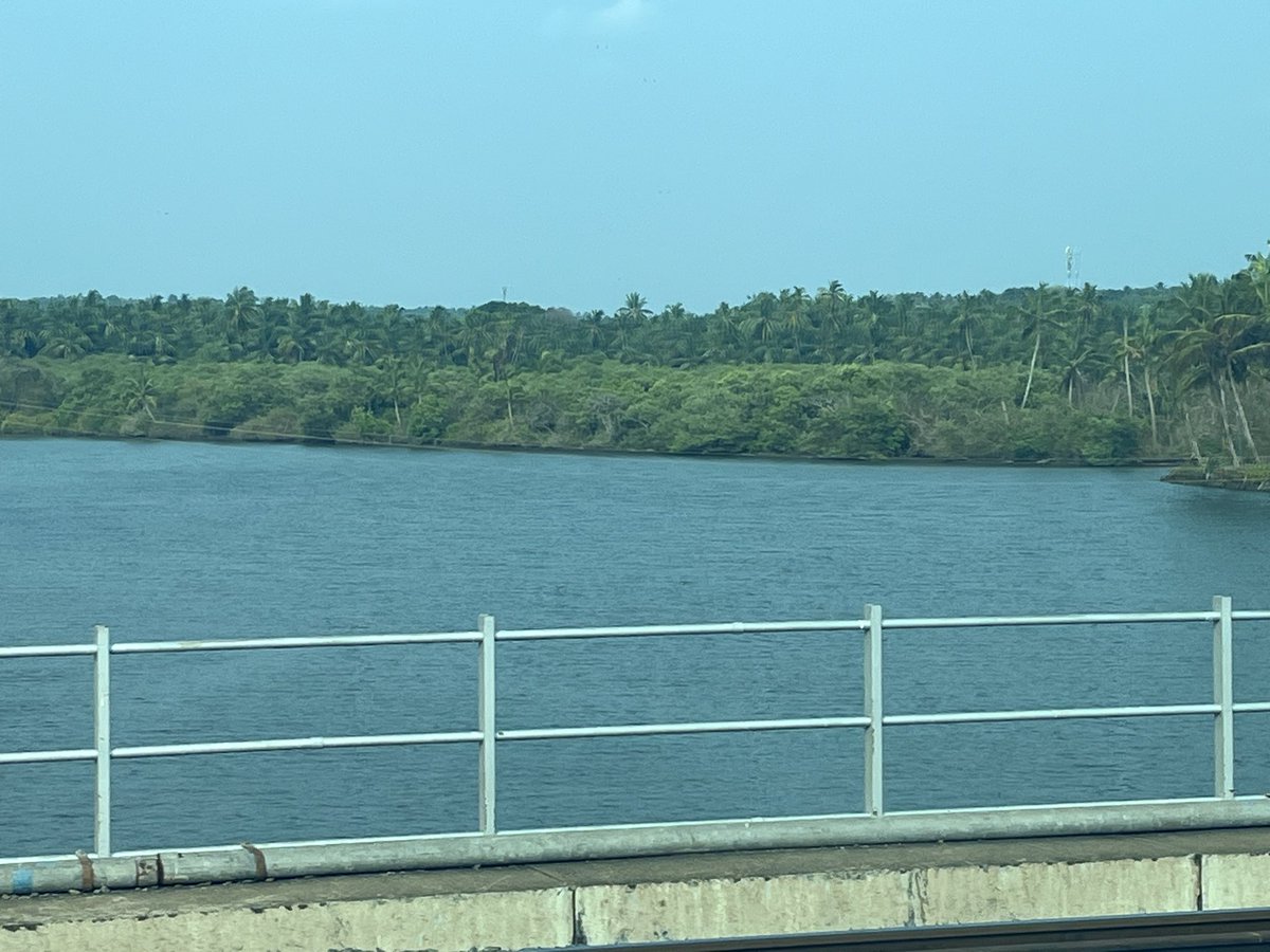 SloganMurugan's tweet image. #IndianTideLine mangroves at Kadalundi, Kozhikode