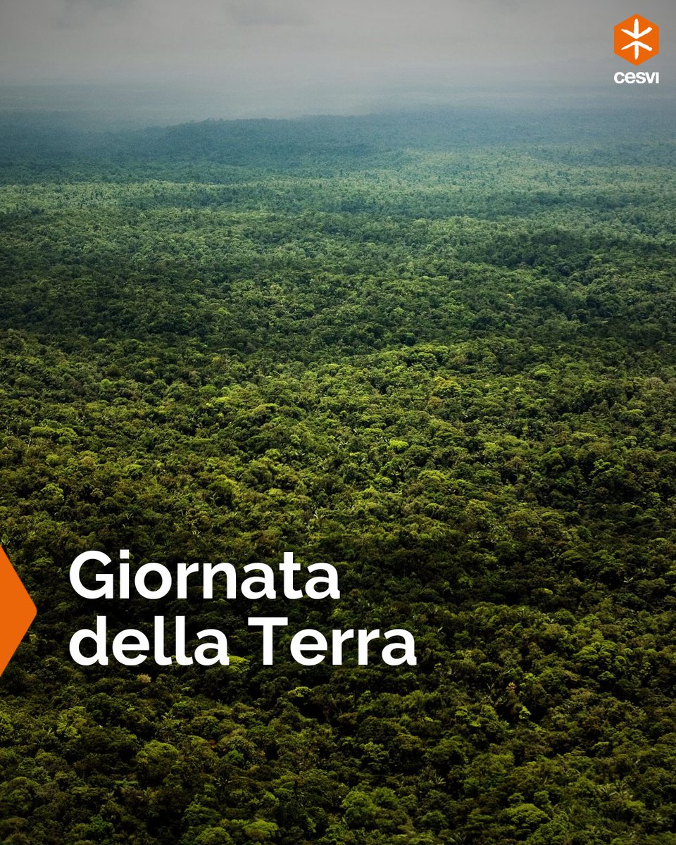 FondazioneCESVI's tweet photo. 🌳 Noi di CESVI, tuteliamo la foresta Amazzonica da oltre 30 anni. Nella #GiornatadellaTerra, vogliamo celebrare uno dei luoghi più importanti nella regolazione del clima di tutto il pianeta, ricordando che la sua salvaguardia dipende anche da te: https://t.co/szyZggu3Am https://t.co/7TlZ2CbSAh