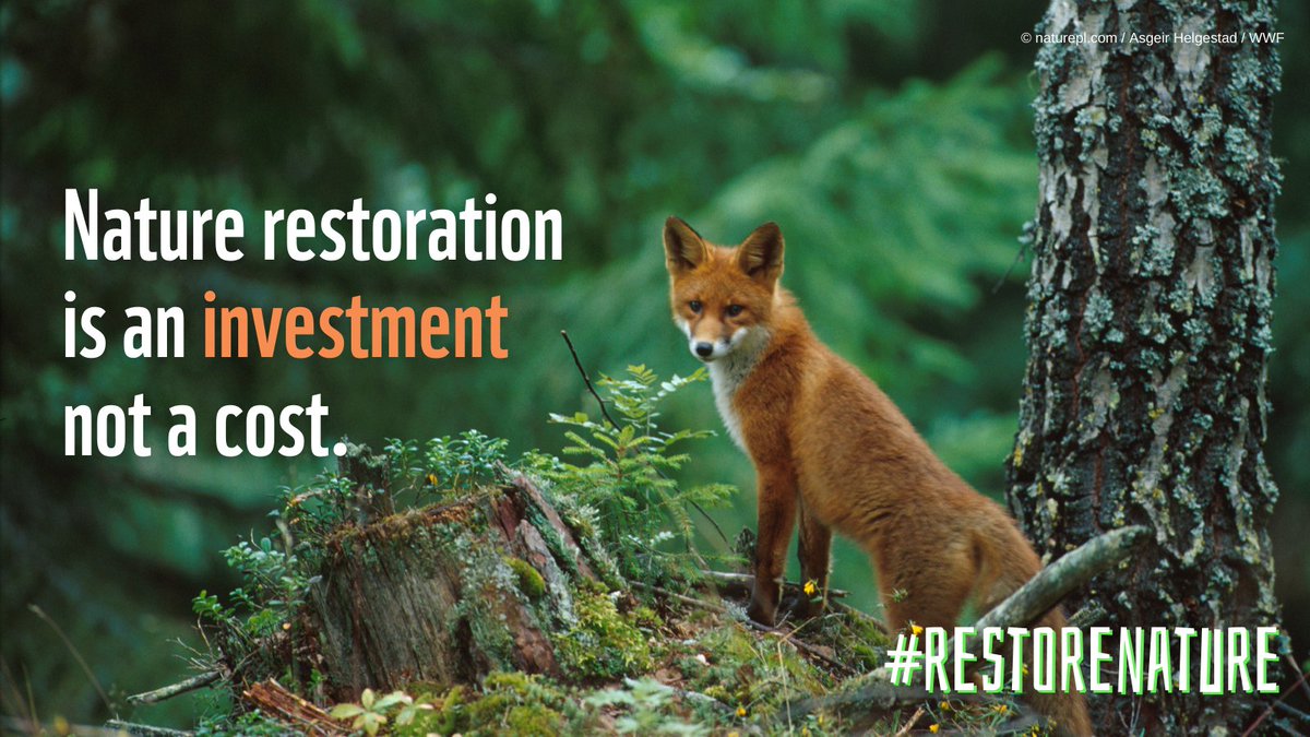 A #NatureRestorationLaw costly? Think again! To #RestoreNature is the most cost-effective solution to many of the climate, biodiversity, food and health issues of our time! We just need to #HelpNatureHelpUs! @EUCouncil & @EU2024BE can make it happen! What are you waiting for?