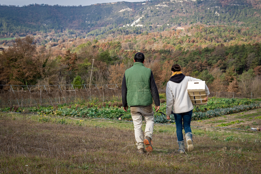 BcnAgraria's tweet image. 👩‍🌾💚👨‍🌾En el #DiadelaTerra, et convidem a llegir la nostra entrevista amb Eva Carmona i Armand Suriñach. La parella lidera El Circell, una empresa d’agricultura ecològica que advoca per la cura de l’entorn👇

diba.cat/web/bcn-smart-…

#AlimentemBCN #BCNSmartRural #ODSDiba