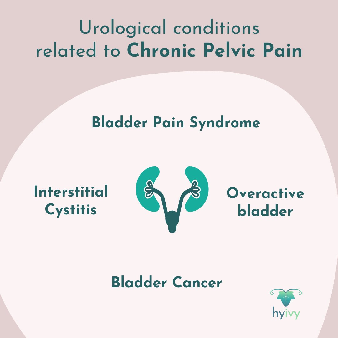 Did you know there are almost 60 conditions related to chronic #pelvicpain? 

 hubs.la/Q02sxK2K0

 ____  

#HyivyHealth #pelvicfloor #FemTech #endometriosis #chronicpain #painfulsex #pelvicfloordysfunction #vaginismus  #vaginalstenosis #dyspareunia #interstitialcystitis