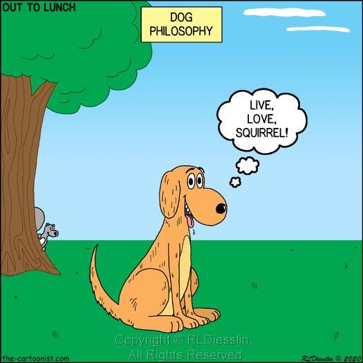 Out to Lunch Cartoon - Dog Philosophy - Live Love Squirrel - buff.ly/3dOFeyf #cartoon #OTL #OTL #dog #squirrel #philosophy #life #love #cafepress - TeePublic - buff.ly/3VqLZyC