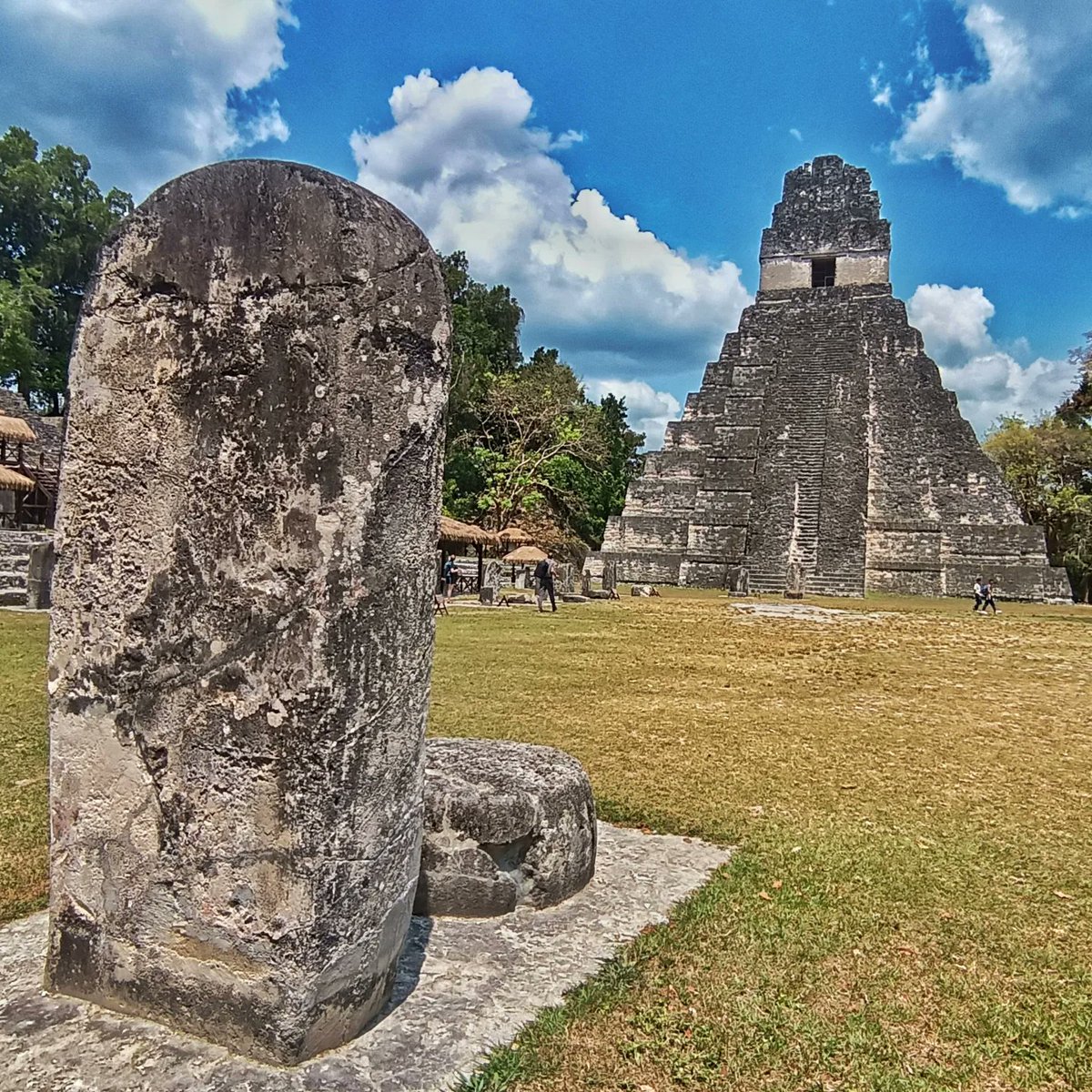 Magnificent #Mayan ruins at #Tikal #Guatemala #CATM2024 @cata_centroamerica @elsalvadortravel @visitcentro america @travwriters #bgtw @travelmedia.ie #travel #Travelgram #traveling #Travelphotography #travelling #travelblogger #traveler #traveller #travelingram #traveltheworld