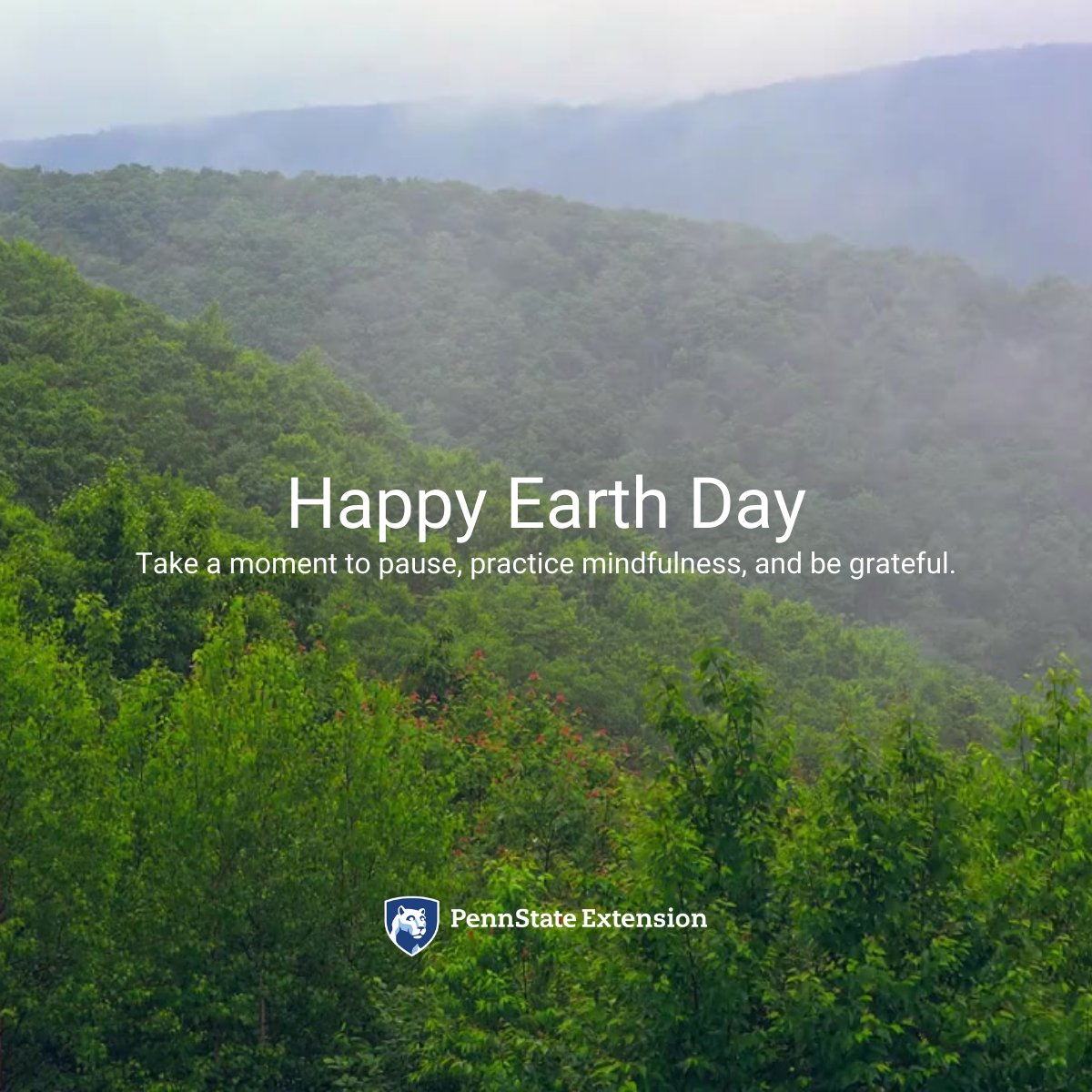 Take a moment. This #EarthDay, let's reflect and show gratitude towards our environment. Every choice we make has an impact on the world we live in. Let's strive to make choices that benefit our planet today and every day.