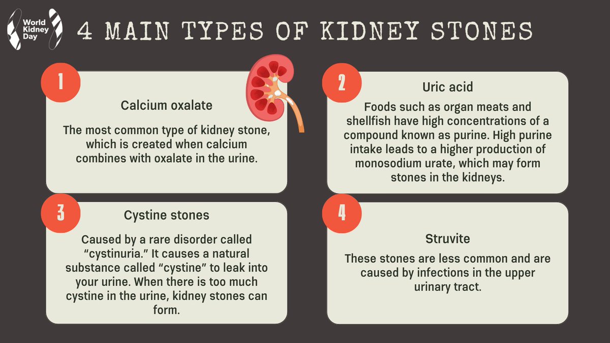 Diet, excess body weight, some medical conditions, and certain supplements and medications are among the many causes of #kidneystones. They can affect any part of your urinary tract, from your kidneys to your bladder. #WorldKidneyDay