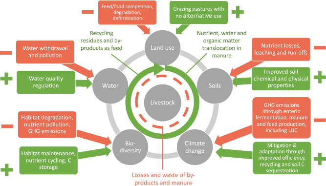 #JNutr critical review explores role of animal-sourced foods (ASF) in healthy and environmentally #SustainableDiets, noting efforts to increase or decrease ASF consumption must 'involve the local stakeholders impacted by any changes.' #EarthDay @GardnerPhD ow.ly/PMeU50RjZgH