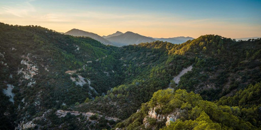 🌳El Parque Natural de la Sierra de Espadán se ve así de bonito desde Castellnovo. ¿Cuándo vas a venir a descubrir sus rutas de senderismo?👉 bit.ly/3rZ8lYw #ActitudMediterránea