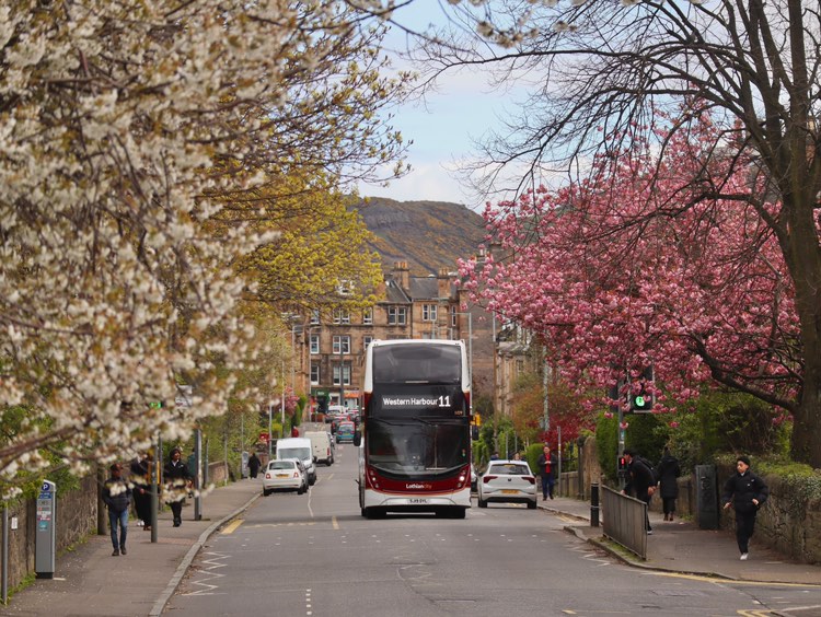 Now that’s a view we love to see for some #MondayMotivation! 🌸

📸 sent by alumga1r9 on Instagram.

#LothianBuses #Edinburgh #CityOfEdinburgh #EdinburghLife #BusViews #BusesOfInstagram #BusesOfEdinburgh #Blossom #BlossomTrees #CherryBlossom