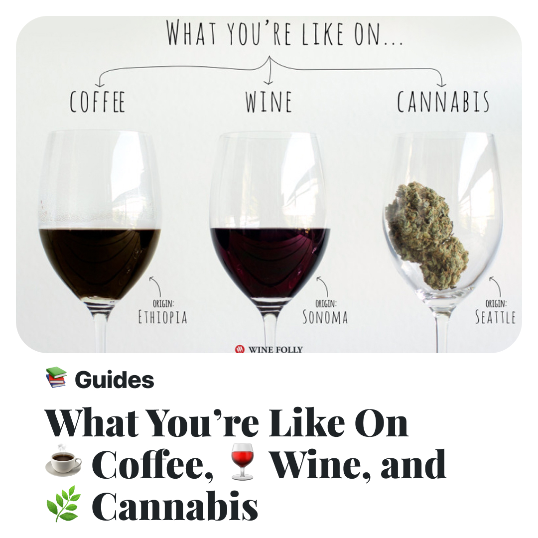 A funny, but realistic, look at the mental effects of 3 of the world's most talked about substances. Alcohol, Caffeine, and THC face off. Learn more -> loom.ly/KdeNGEE #wine