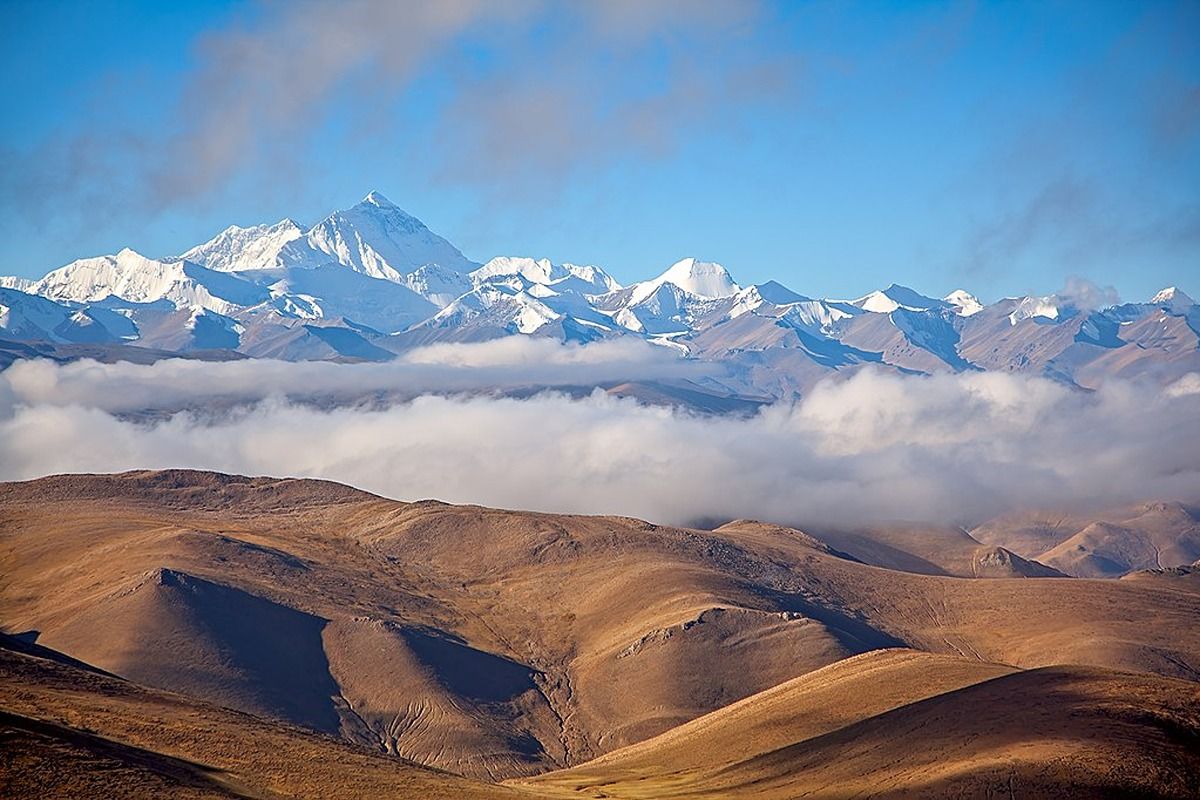 Aquesta primavera el permafrost del Tíbet s'està desfent ràpidament, revelant un paisatge verd inesperat. Estudis de @PNASNews indiquen que la radiació solar és la principal causa d'aquest desgel arrels.info/noticia/el-tib… 📣 @MonArrels #CanviClimàtic #Tíbet