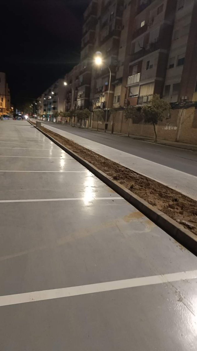 Un vecino denuncia que han durado horas los "pinitos" plantados en los nuevos aparcamientos de las Colonias / Barriada de la Navidad: