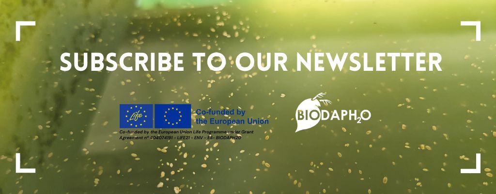 🗞️Not receiving our newsletter yet?

🎯 Fill in the form to receive the latest news and updates about the #LifeBIODAPH2O project! ➡️ acortar.link/gH5lBd 

You can also check out our 1st newsletter: acortar.link/cp0ksp

#LIFEproject #WaterReuse #WaterTreatment #daphnia