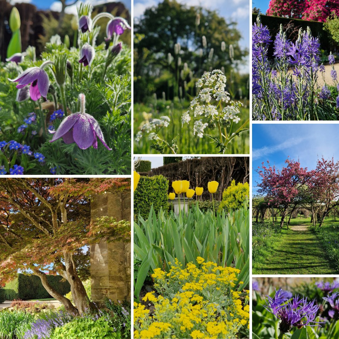 Celebrating #nationalearthday🌎 with a wonderful morning walk around our Gardens!