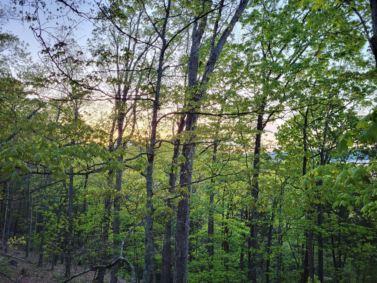 omackson's tweet image. Kentucky sunrise.
 #PDlife #trainingweek