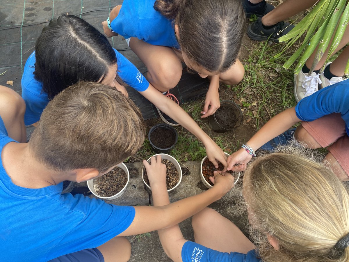 AME974StLeu's tweet photo. Pour le #JourDeLaTerre, les élèves de @AME974StLeu ont mené des actions écocitoyennes @SaintLeu974  pour l'environnement : planter sur la plage, sensibiliser sur la problématique des bassins versants, faire des semis, gérer le composteur... @OFBiodiversite @AcLaReunion #EDD 🌎🇷🇪 https://t.co/PqIjztCd49