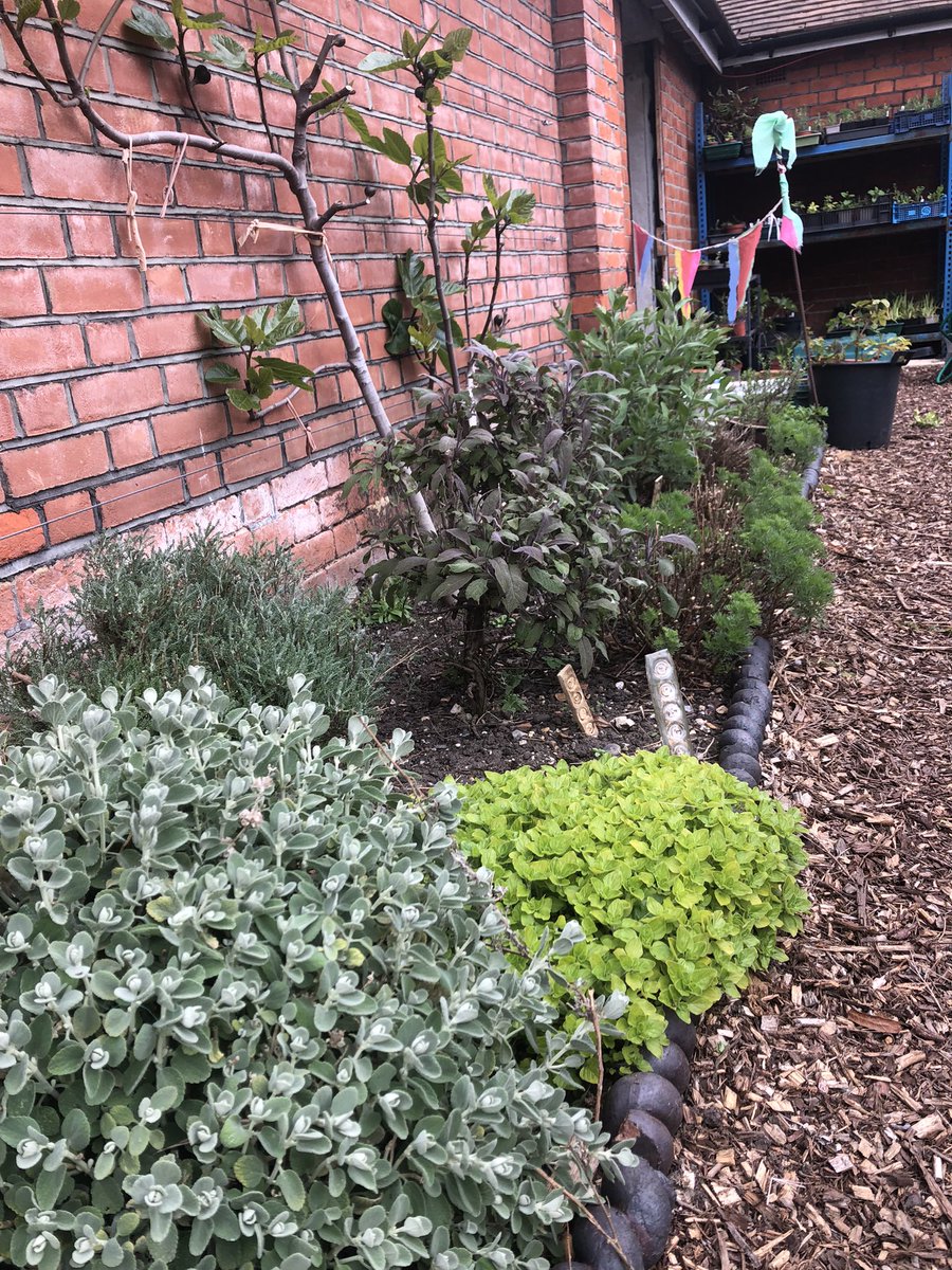 Learn how to propagate and grow your own herbs and edible flowers on our half-day workshop Tuesday 30 April 10am to 1pm.  Ecolocal.org.uk for booking and more details!