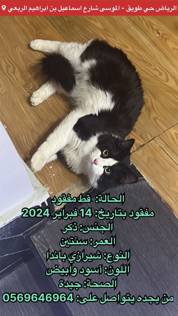 missingpetscare's tweet photo. قط مفقود بتاريخ: 14 فبراير 2024 الموافق ١٤٤٥/٨/٤ هـ
الرياض حي طويق الموسى ، شارع إسماعيل بن ابراهيم الربعي
الجنس: ذكر / العمر: سنتين / النوع: شيرازي باندا / اللون: أسود وابيض / الصحة: جيدة
من يجده يتواصل على: 
جوال: 0569646964 
اكس: @muostka 

#قطط_الرياض #قط_مفقود #قطط_مفقوده #تبنى_لاتشتري #تبنى_لا_تشتري 
  @aad_fs @Candle310 @Bnota1886 @ftomy2021 @resqueingcats @lostnfound_sa @RiyadhCats