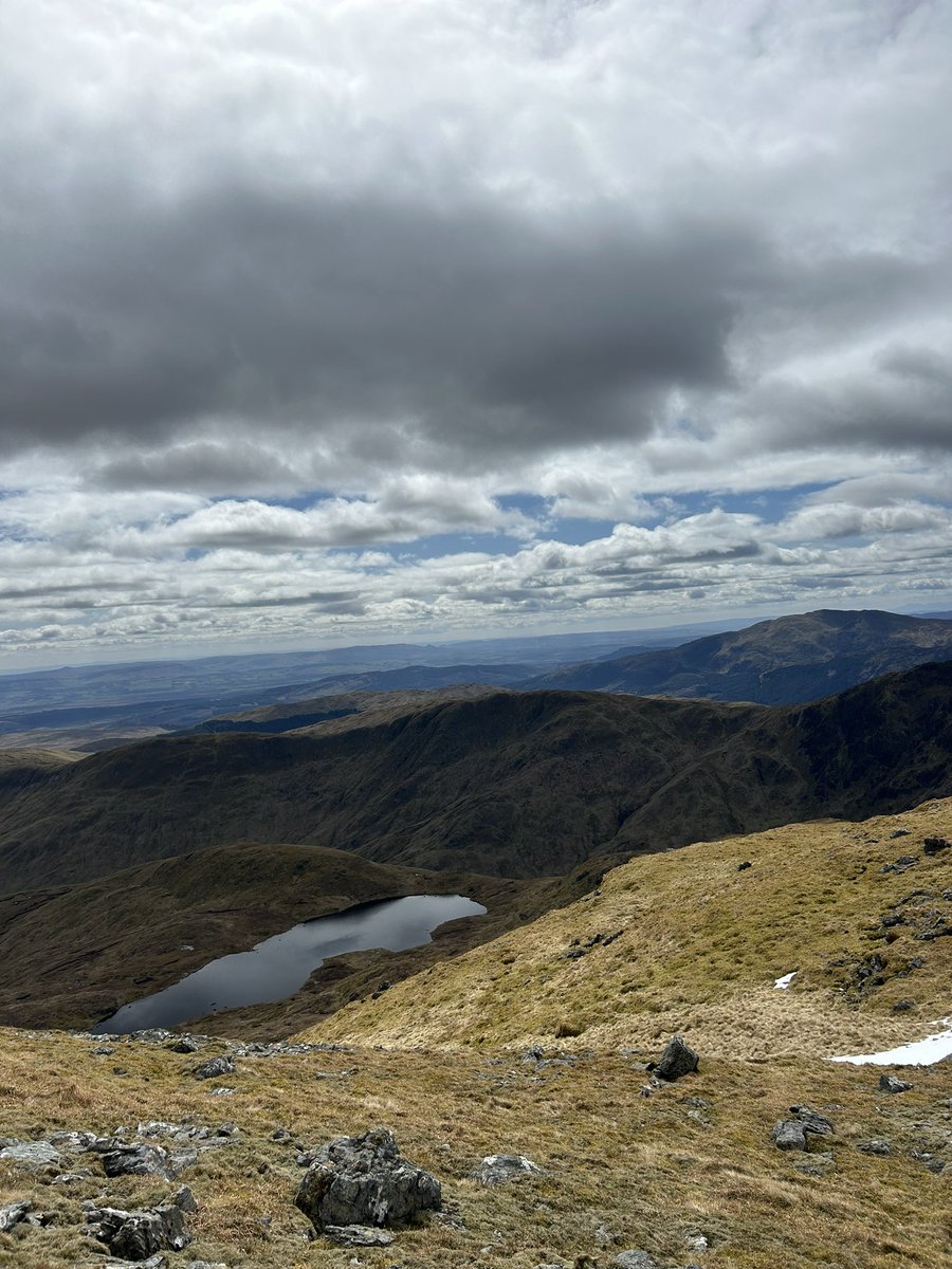 Libbylyle tweet media