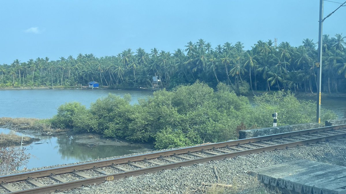 SloganMurugan's tweet image. #IndianTideLine 
Mangroves at vadakumbad, Feroke.