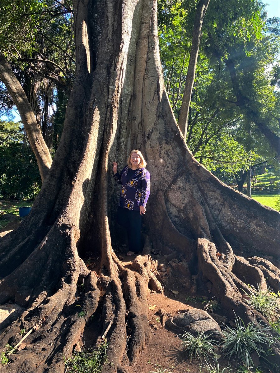 🌍Happy #EarthDay! In Zomba, Chargé d’Affaires Diaz was captivated by this majestic tree at the Botanical Gardens. It proudly stands tall due to conservation efforts. How are you protecting trees? Let's collectively commit to #planttrees and safeguard them for future generations!