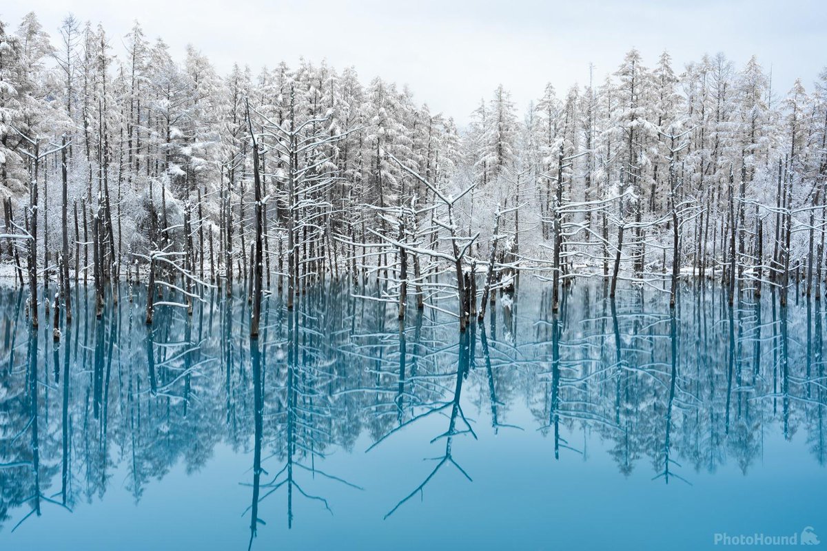 photohound's tweet photo. Happy World Earth Day! Enjoy these photos taken by PhotoHounders reminding us of the breathtaking beauty of our planet and the role we can play in photographing and stewarding it.
#responsiblephotography #naturefirst #leavenotrace #travelphotography https://t.co/Hwlj8vxk8f