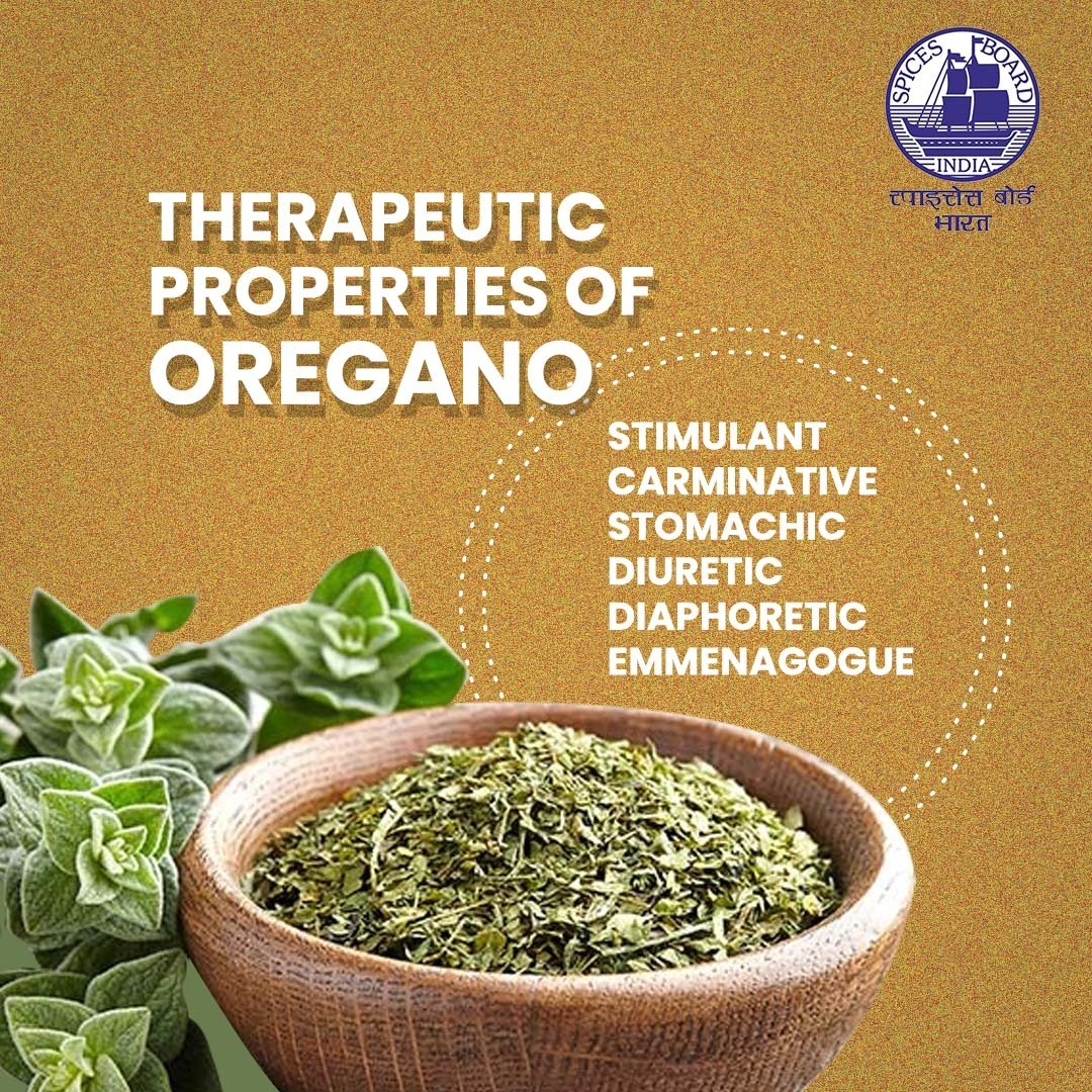 Spices_Board's tweet image. Discover the therapeutic benefits Oregano! From stimulating energy to soothing digestion, this versatile herb is a must-have in your kitchen arsenal  
@doc_goi 
#spicesboard #oregano #incrediblespicesofindia