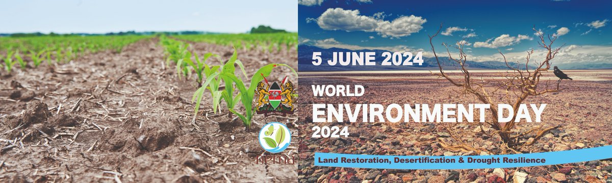 We cannot turn back time, but we can grow forests, revive water sources, and bring back soils. We are the generation that can make peace with land. World Environment Day is celebrated annually on 5 June and encourages awareness and action for the protection of the environment.