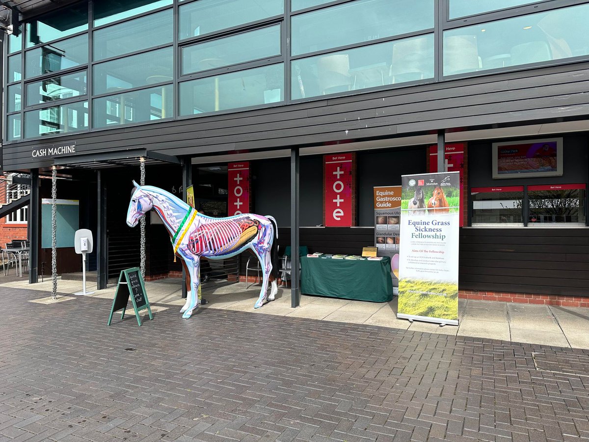 Gut Feeling had a great day at @MusselburghRace showing off the anatomy of the horse and raising awareness of the Equine Grass Sickness Biobank, a vital resource for EGS research with @BritishHorse @MoredunComms @Norbrook Loved the Corgi Derby!
