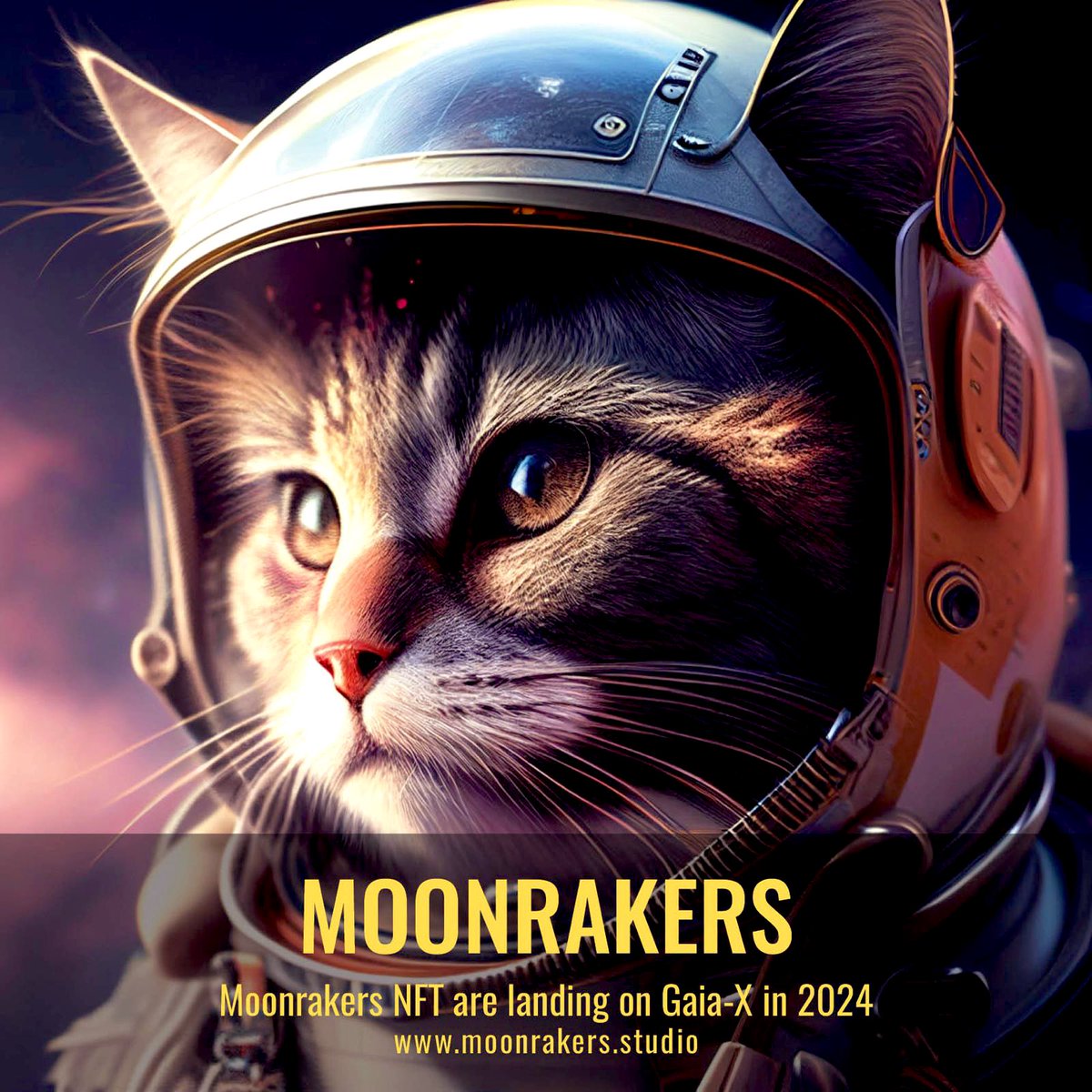Here is the alpha 🚀

moonrakers.studio
