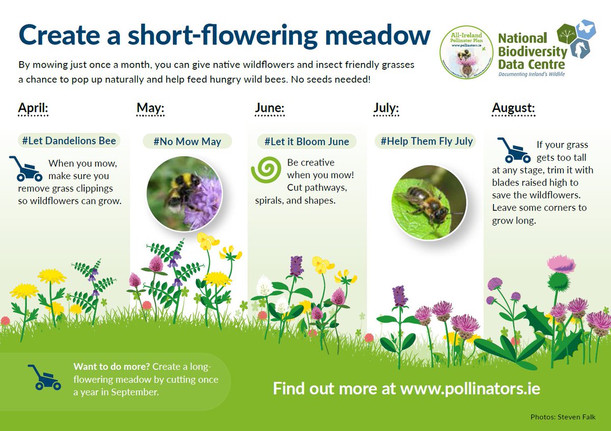All-Ireland Pollinator Plan tweet media