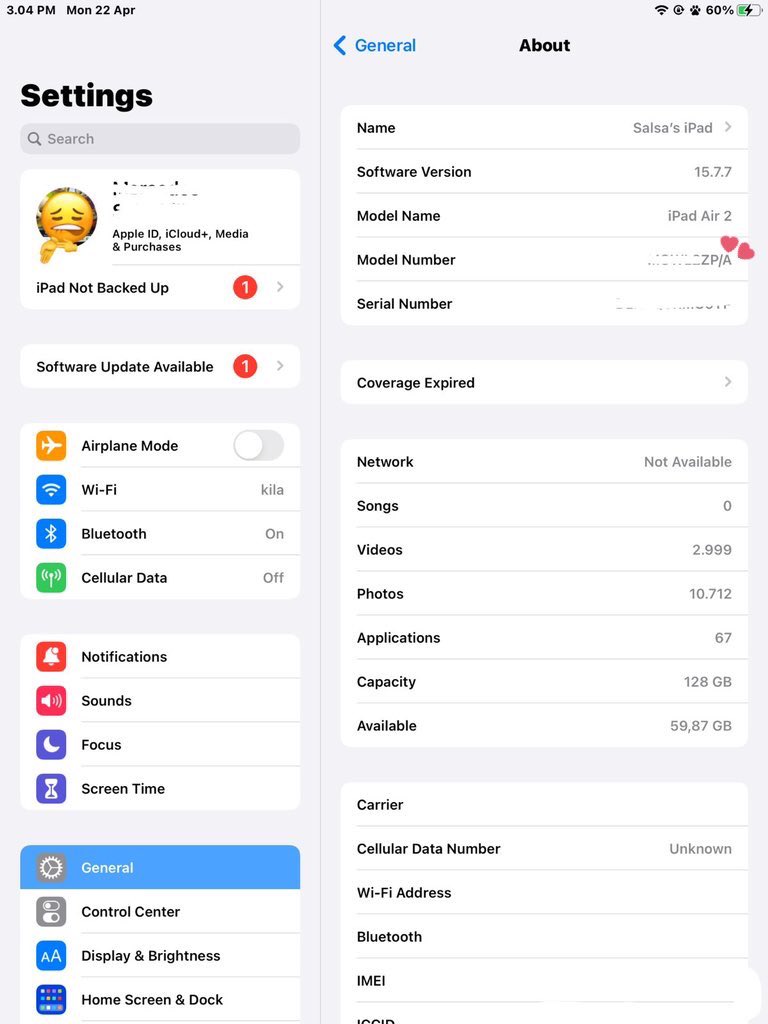 salsa🐈 tweet media