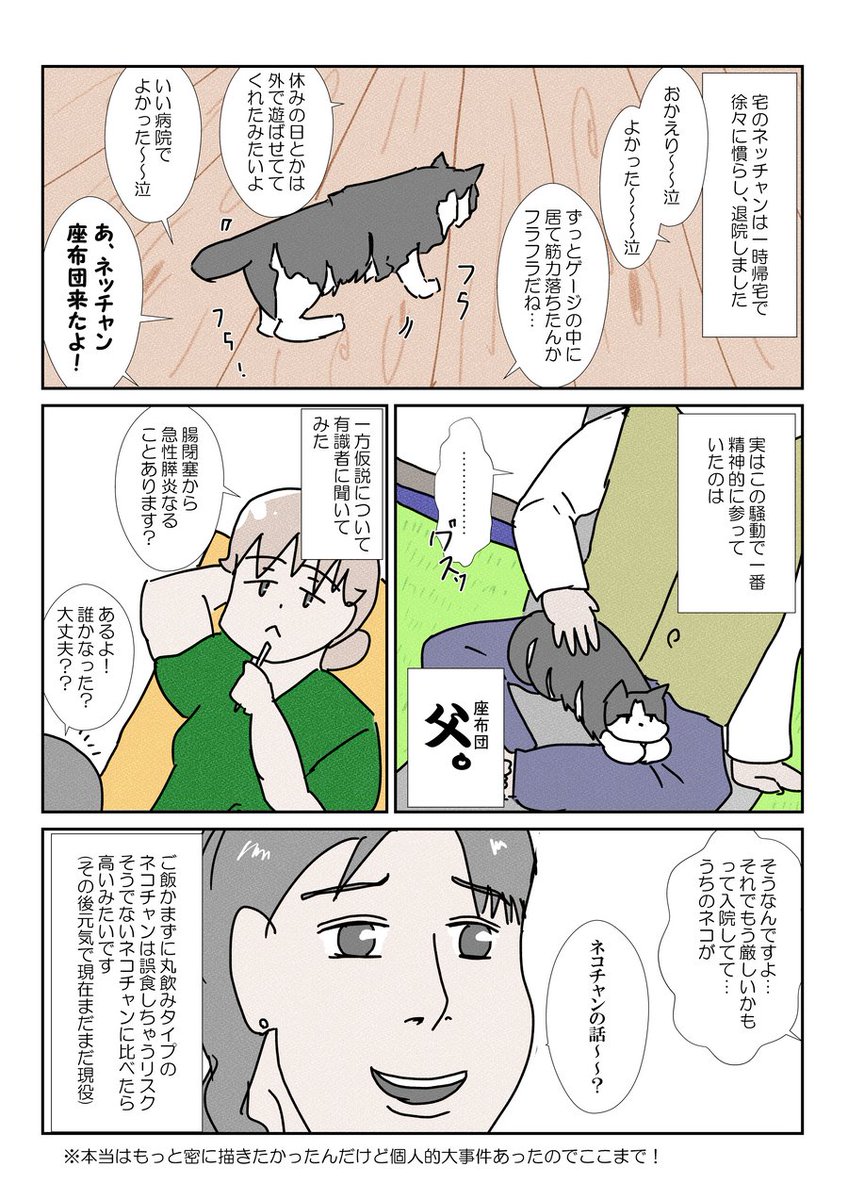 我が家のネコチャンが三途の川渡りかけて帰ってきたお話その④完
…いろいろあって…ここまで…いろいろの内容は…後日… #ネコ #YOMcoma