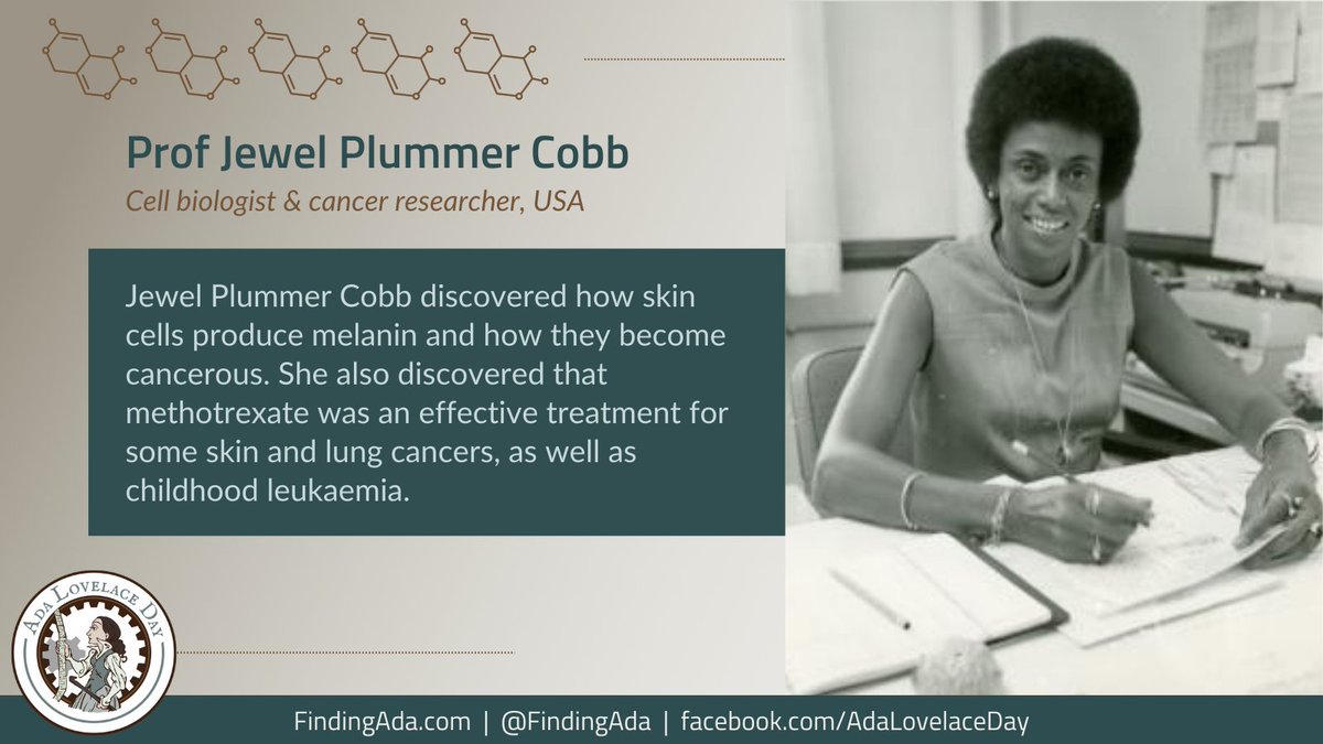 Jewel Plummer Cobb discovered how skin cells produce melanin and how they become cancerous. She also discovered that methotrexate was an effective treatment for some skin and lung cancers and childhood leukaemia. adalovelaceday.substack.com/p/prof-jewel-p…