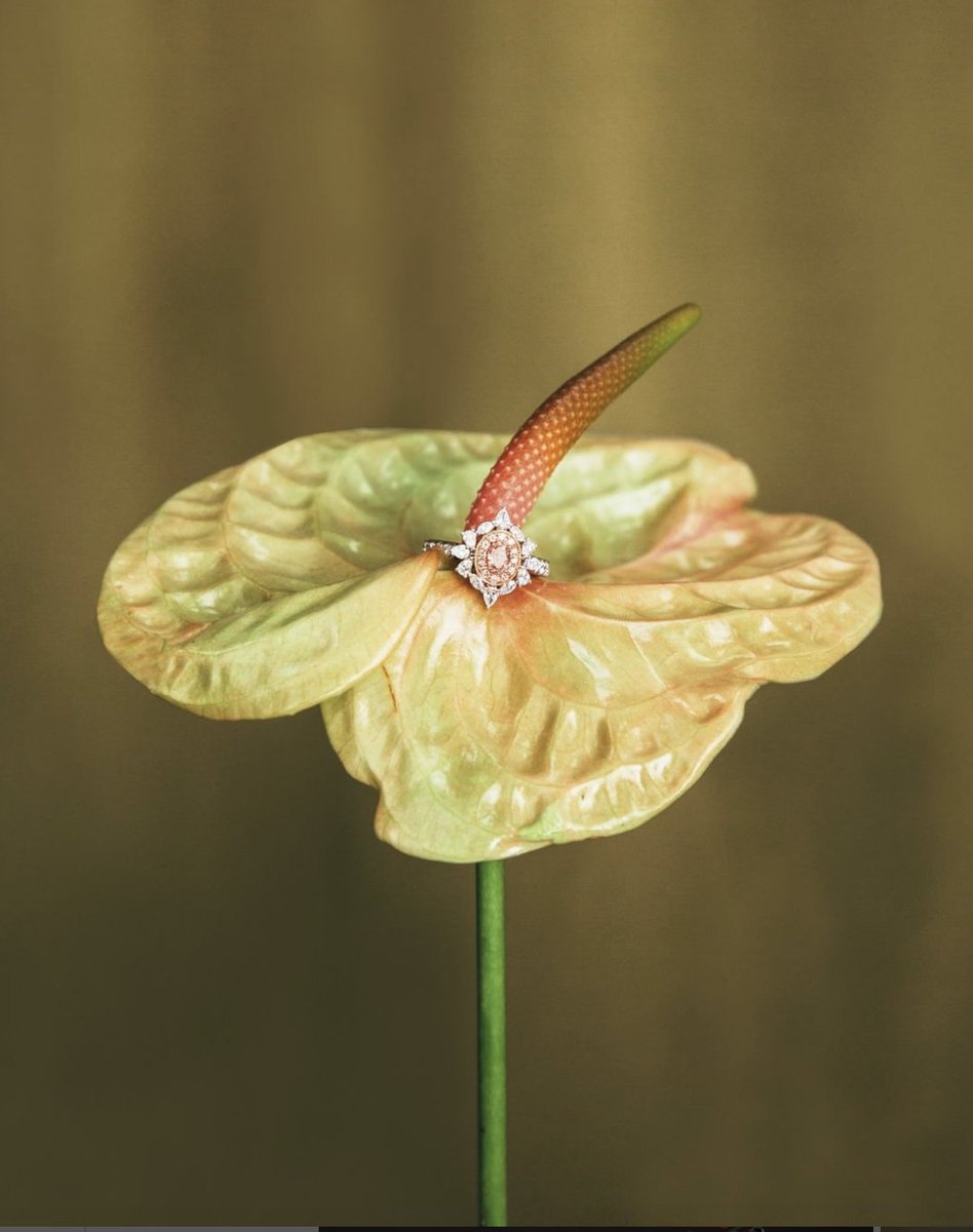 diamondlabs_io's tweet photo. Caught this beauty soaking up some nature

.

.

.

.

.

.

#thepeakjewellery #thepeakdiamonds #labgrowndiamonds #diamondsareforeever #diamonds #peakafterpeak #TimelessElegance https://t.co/OIPlfkCVuK