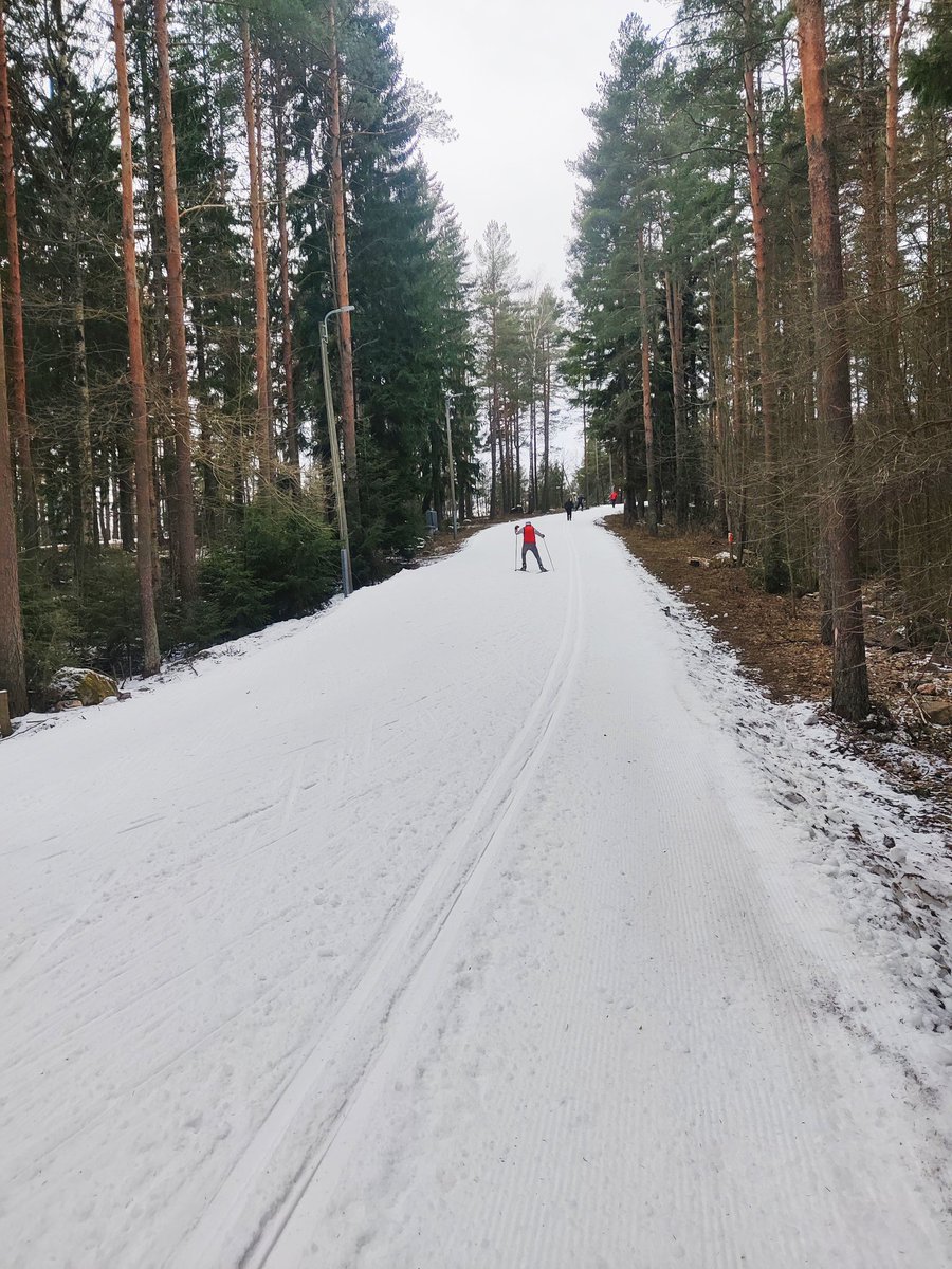 Paloheinä on iskussa. Minä en. #hiihto kausi alkoi uudelleen. 🎿😀