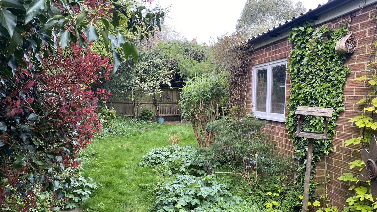Monday morning. Garden view. #Oxford #rain