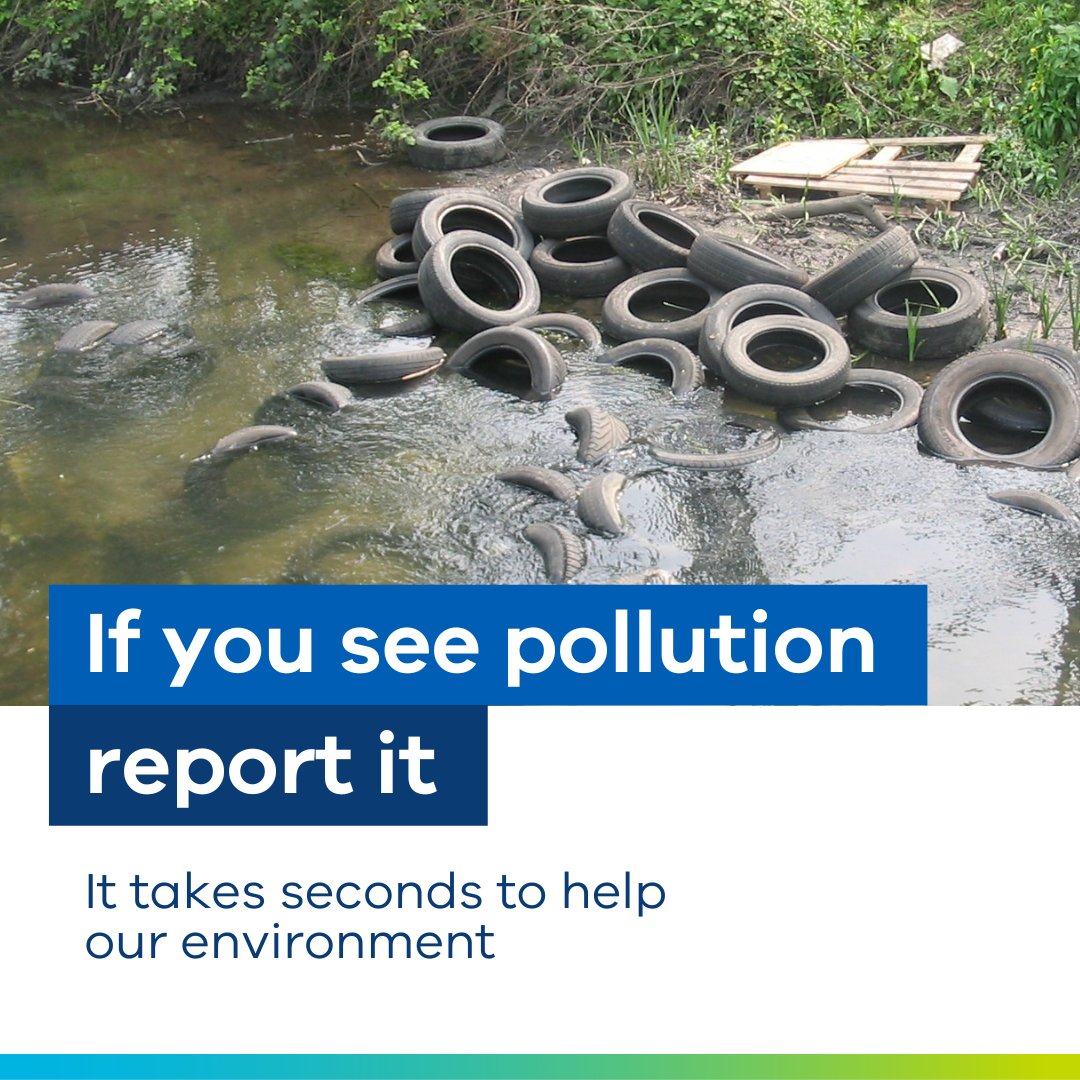 Don't turn your eye away from pollution. If you spot any environmental harm in your community, report it to us immediately: bit.ly/3CvB8J1