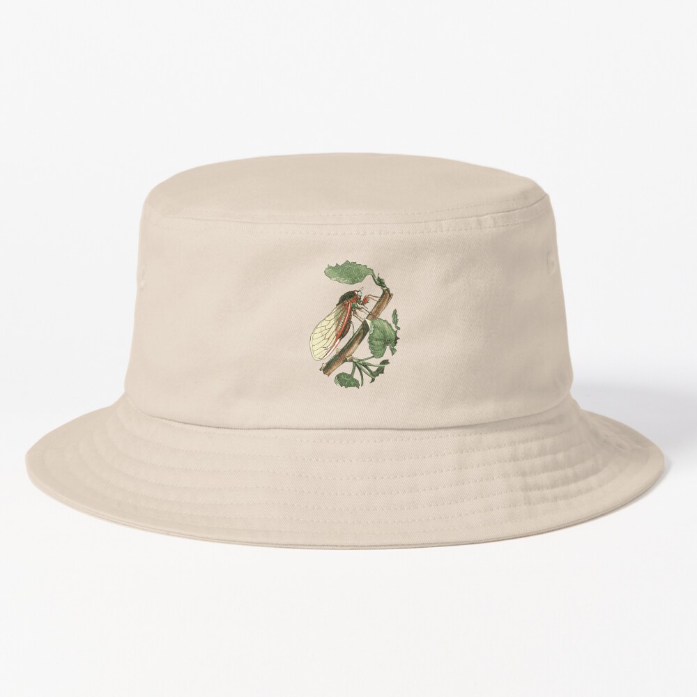 TaicheTees's tweet photo. "Cicada Illustration" #Cap #taiche #redbubbleshop #taiche #cicada #nature #insect #cicadas #insects #entomology #macro #bugs #bug #summer #insectsofx #oddities #nature #art #wildlifeart #cicadaseason #cicadidae #insectart https://t.co/LQFelA1ARE https://t.co/jYk7fxJTgk
