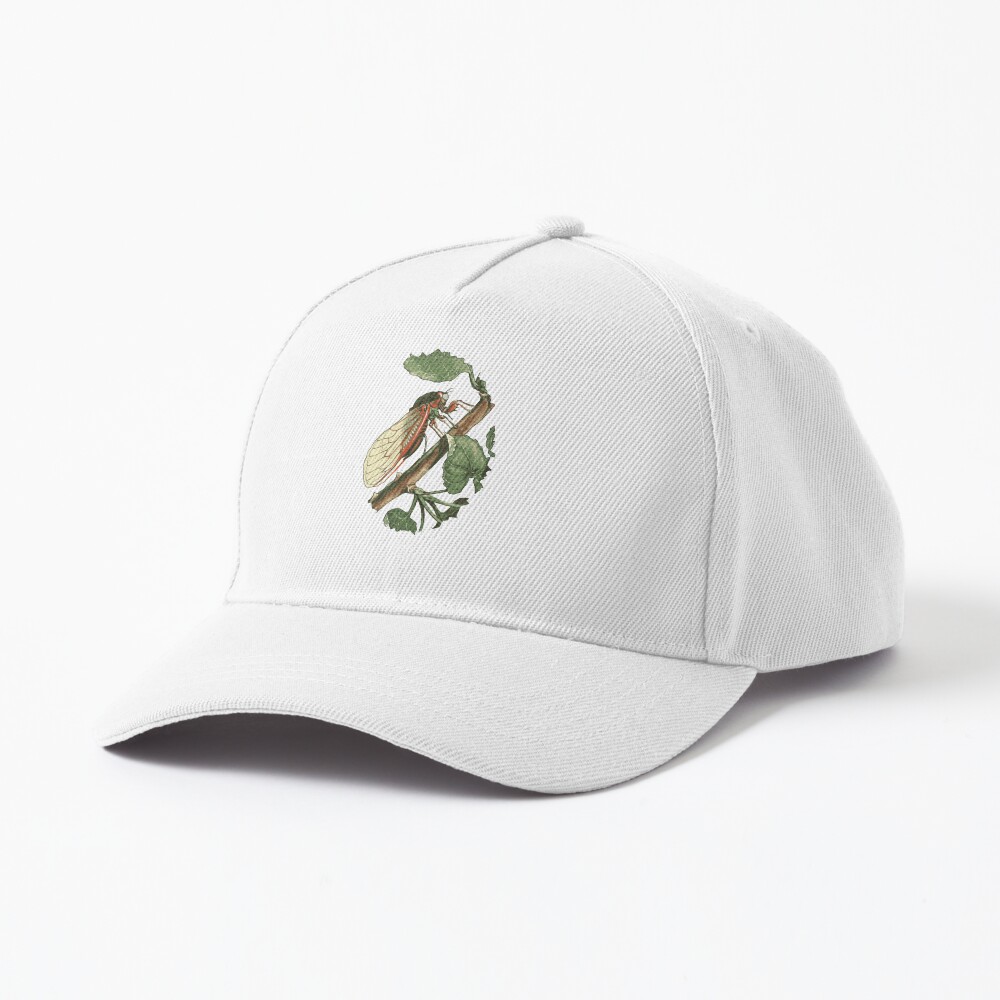 TaicheTees's tweet photo. "Cicada Illustration" #Cap #taiche #redbubbleshop #taiche #cicada #nature #insect #cicadas #insects #entomology #macro #bugs #bug #summer #insectsofx #oddities #nature #art #wildlifeart #cicadaseason #cicadidae #insectart https://t.co/LQFelA1ARE https://t.co/jYk7fxJTgk