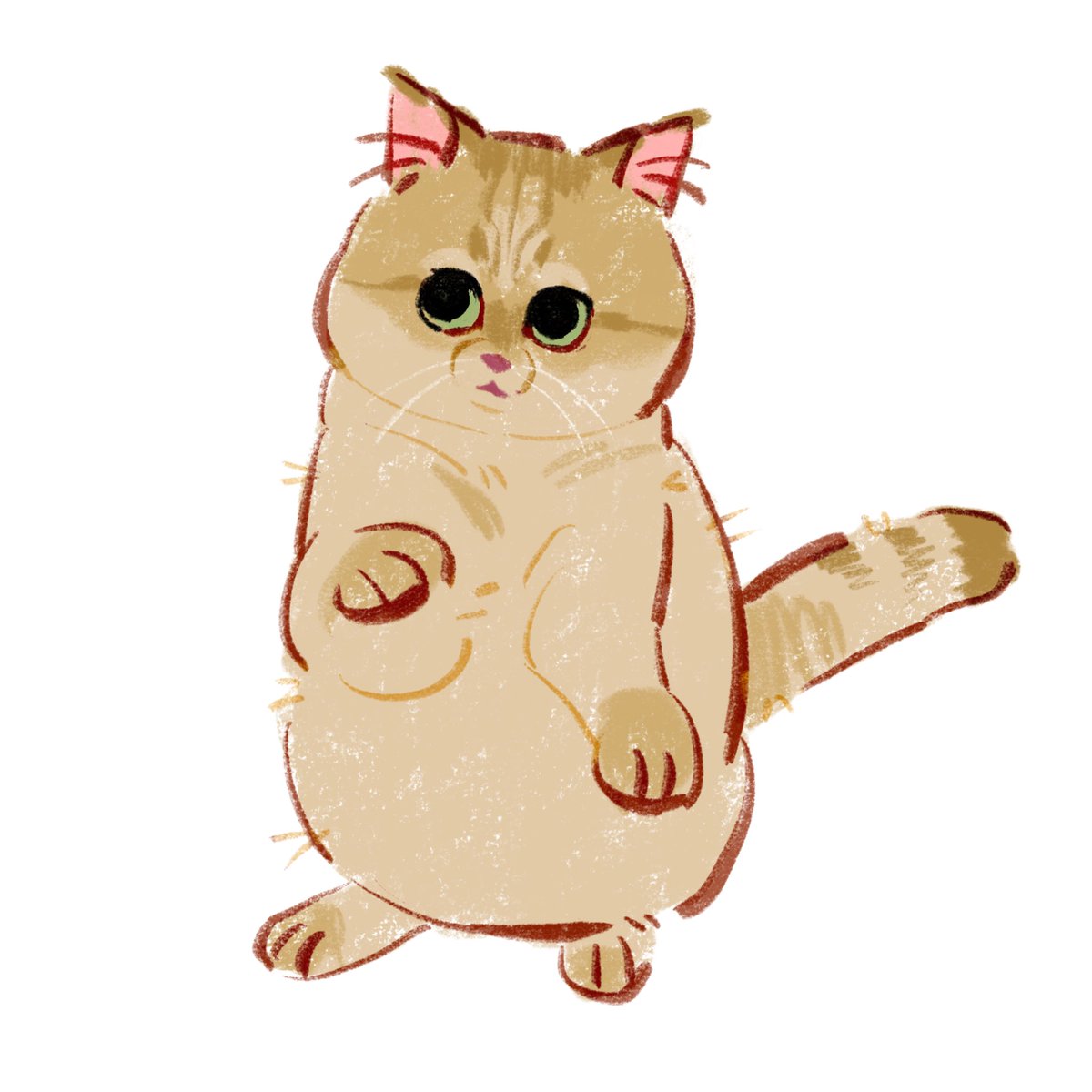 「Draw my client cat  」|Shan|•'-'•)و✧のイラスト