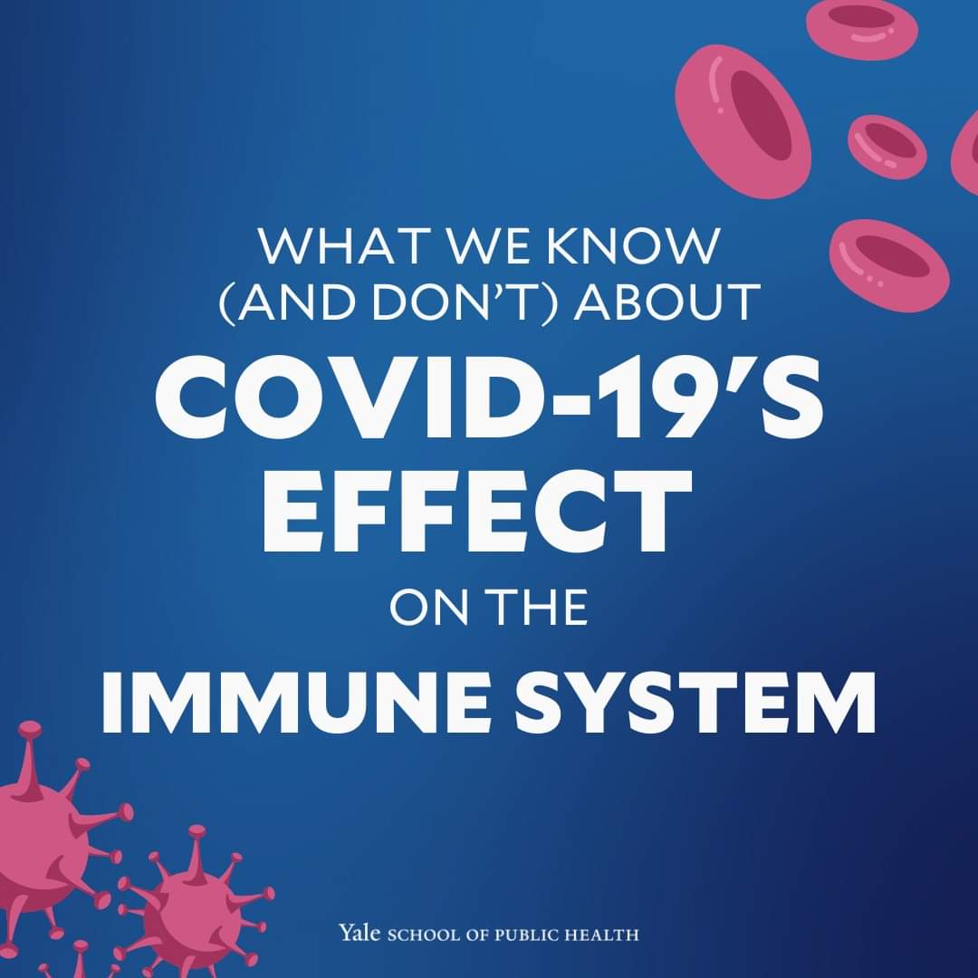 Wow. Let's work through *all* the slides Yale School of Public Health shared... 🌎'What we know (and don't) know about Covid's effect on the immune system' 🧵